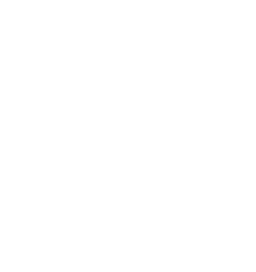 Écusson Caezar